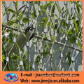 stainless steel cable mesh for green plant climbing net